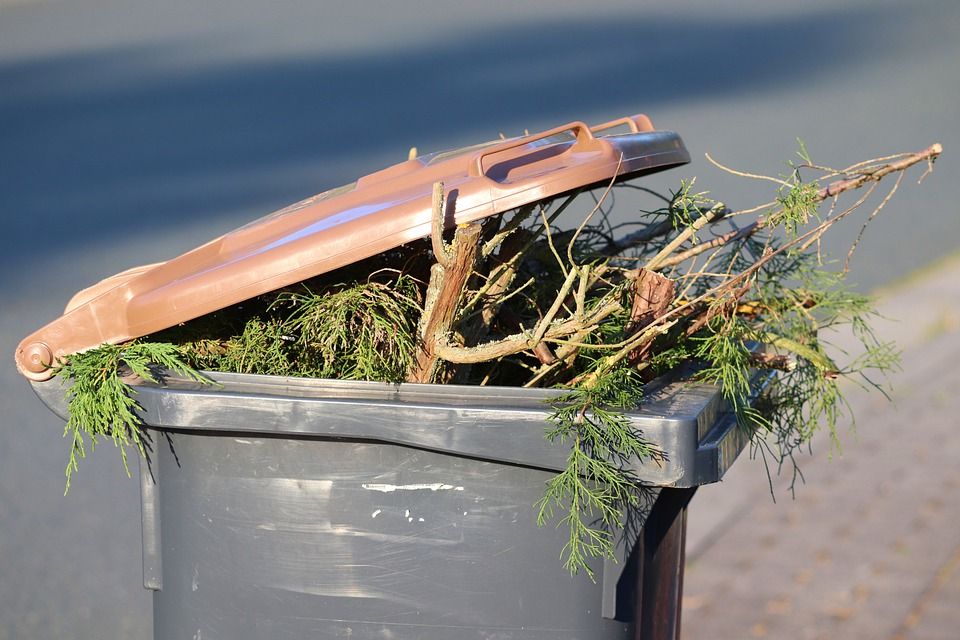 Remondis wstrzymuje odbiór odpadów zielonych