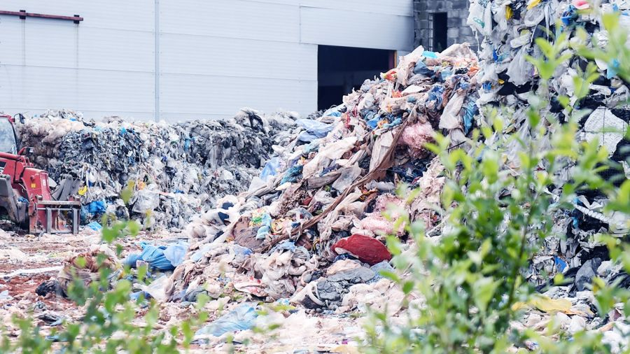 Więcej śmieci w Szczecinie. Kolejny niechlubny rekord